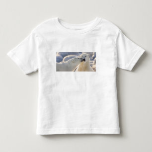 Camiseta Infantil Beijo de Urso Polar
