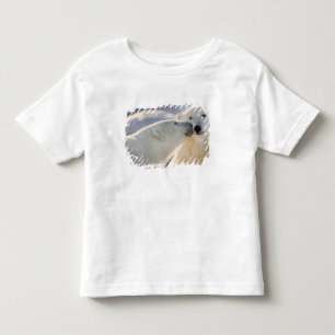 Camiseta Infantil Beijo de Urso Polar