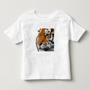Camiseta Infantil Bela Foto do Rosto de Tigre de Bengala