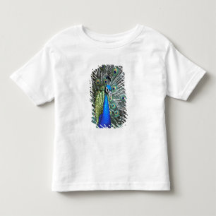 Camiseta Infantil Belíssimo pavão espalhando penas coloridas