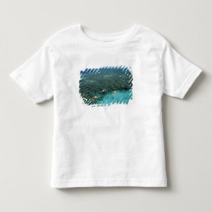 Camiseta Infantil Belize, Recife de Coral, Recife Lighthouse, Azul
