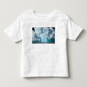 Camiseta Infantil Bergs de gelo do sul