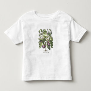 Camiseta Infantil Beringela: Pallido do fructu de Melanzana, 'do Hor