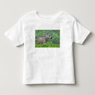 Camiseta Infantil Bezerro de alce no vale de Many Glacier