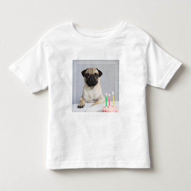 Camiseta Infantil Birthday Pug (Frente)