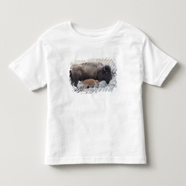 Camiseta Infantil Bisão Vaca e Bezerro, Yellowstone (Frente)