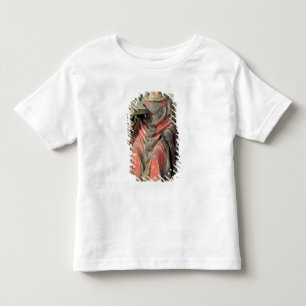 Camiseta Infantil Bishop de St Germain de Auxerre