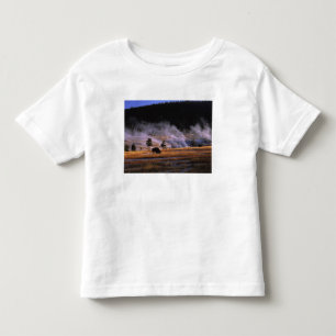 Camiseta Infantil Bisões pastando na Bacia do Géiser Superior