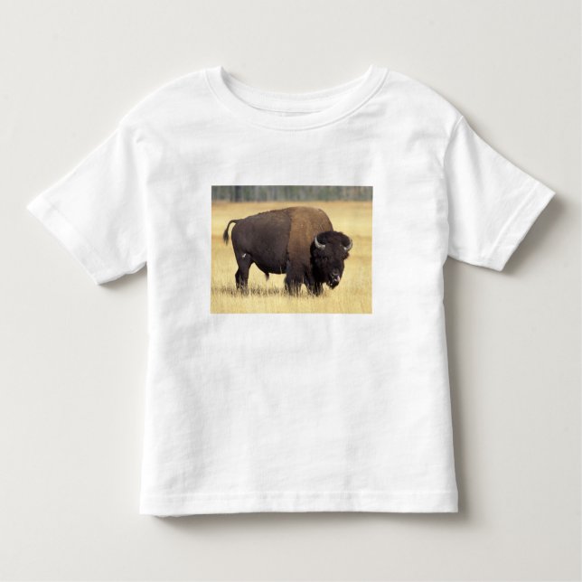 Camiseta Infantil Bison Bull na Yellowstone National (Frente)