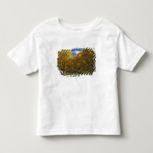 Camiseta Infantil Blue Ridge Parkway curvando através das cores de o