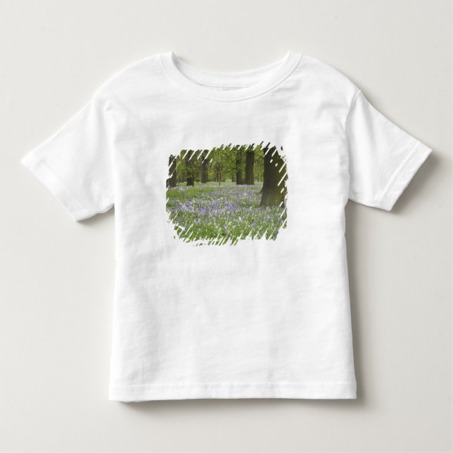 Camiseta Infantil Bluebells and Oak Trees in Primavera, Little Hagle (Frente)