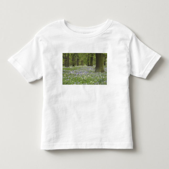 Camiseta Infantil Bluebells and Oak Trees in Primavera, Little Hagle (Frente)