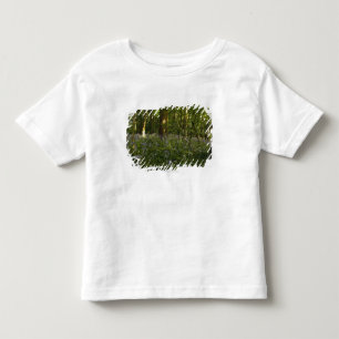 Camiseta Infantil Bluebells em uma floresta