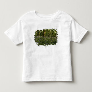 Camiseta Infantil Bluebells em uma floresta