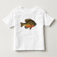 Bluegill Bream