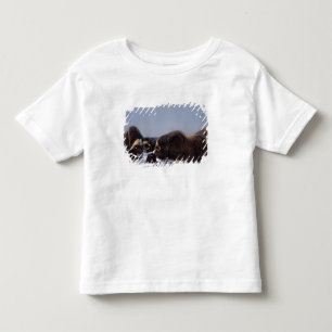 Camiseta Infantil boi e vaca de boi almiscarado, Ovibos moschatus