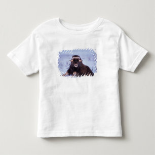 Camiseta Infantil boi jovem de boi-almiscarado, Ovibos moschatus