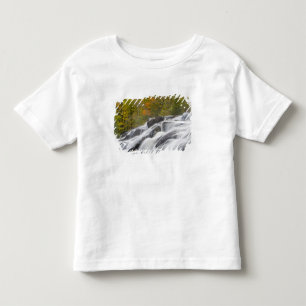 Camiseta Infantil Bond Falls no Middle Fork do Ontonagon