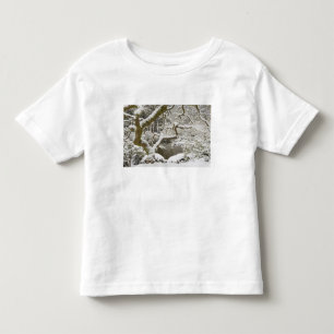 Camiseta Infantil Bordo japonês coberto de neve