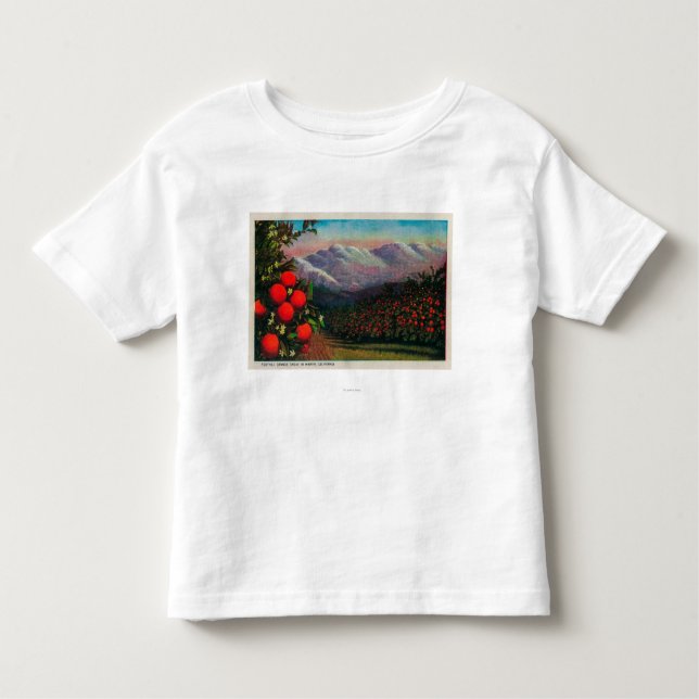 Camiseta Infantil Bosque alaranjado do monte no WinterState (Frente)