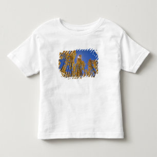 Camiseta Infantil Bosque de álamos em outono na Cordilheira de San J