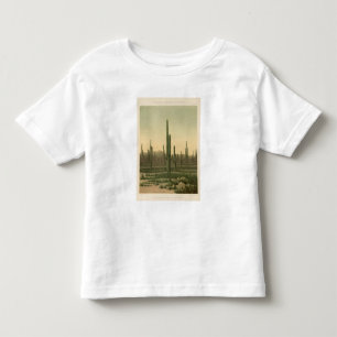 Camiseta Infantil Bosque do cacto, arizona