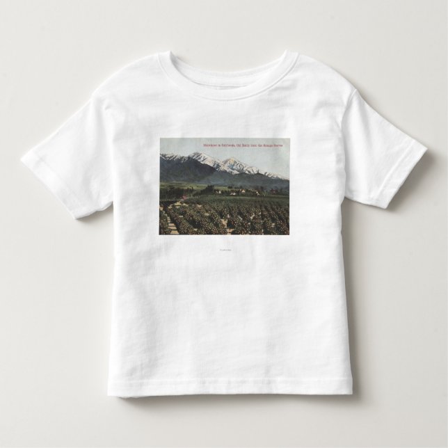 Camiseta Infantil Bosques alaranjados com Baldy velho Mt na (Frente)