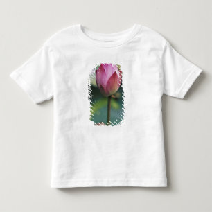 Camiseta Infantil Botão de flor de lótus, Hangzhou, Província de Zhe