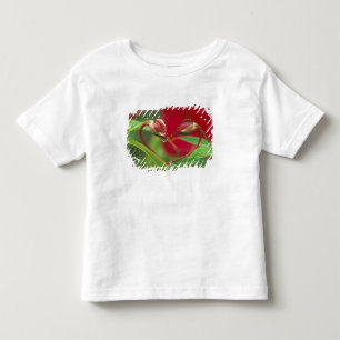 Camiseta Infantil Botões de Begônia em forma de coração com gotas. C