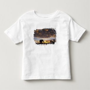 Camiseta Infantil Botswana, Parque Nacional Chobe, Elefante
