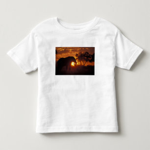 Camiseta Infantil Botswana, Parque Nacional Chobe, Elefante Macho