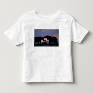 Camiseta Infantil Botswana, Parque Nacional Chobe, Elefantes