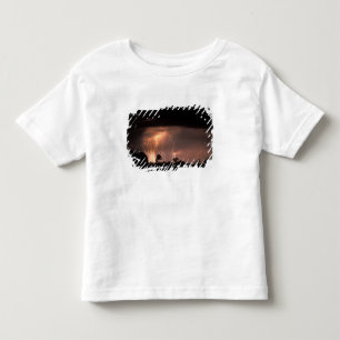 Camiseta Infantil Botswana, Reserva de Caça Moremi, Relâmpagos enche