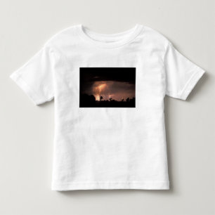 Camiseta Infantil Botswana, Reserva Natural de Moremi, Relâmpagos