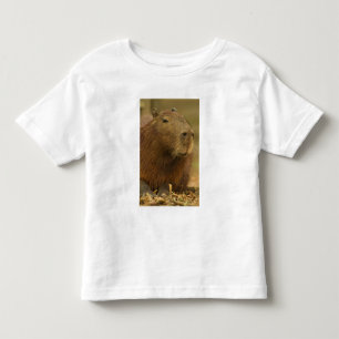 Camiseta Infantil Brasil, Pantanal, Matto Grosso. Capivara