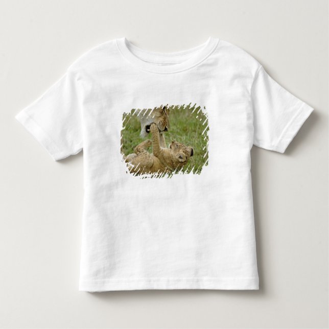 Camiseta Infantil Brincadeira de Leão (Frente)