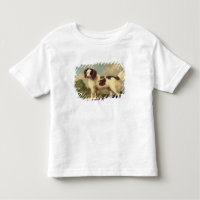 Brown e Spaniel branco de Norfolk ou de água, 1778