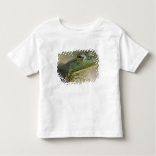 Camiseta Infantil Bufallo National River, Northwest Arkansas