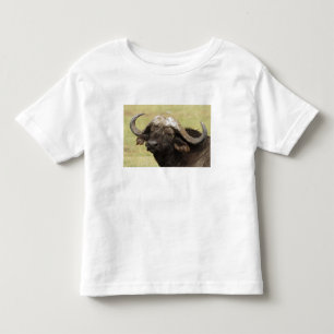 Camiseta Infantil Búfalo-africano, Syncerus caffer