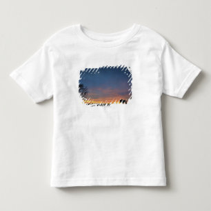 Camiseta Infantil Búfalo no por do sol no parque nacional da ilha