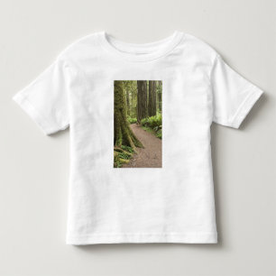 Camiseta Infantil CA, Jedediah Smith State Park, Simpson-Reed