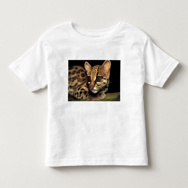 Camiseta Infantil CA, Panamá Central, Soberania NP, Margay 2 (Frente)
