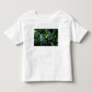 Camiseta Infantil CA, Panamá, Parque Nacional Soberanía, Tucano Pico