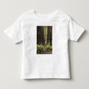 Camiseta Infantil CA, Parque Estadual de Redwoods Jedediah Smith,