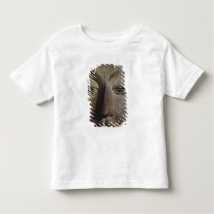 Camiseta Infantil Cabeça de um Bodhisattva