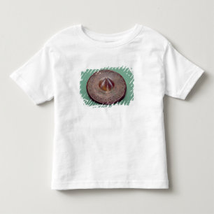 Camiseta Infantil Cabeça entalhada do pino, de Ireland, c.700 BC