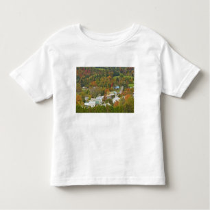 Camiseta Infantil Cabot, Vermont no outono. Reino Nordeste.