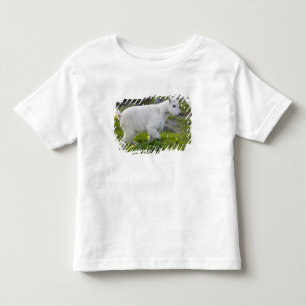 Camiseta Infantil Cabra montesa jovem em Logan Pass no Glaciar