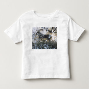 Camiseta Infantil Cabra ou cabra-montesa, pintura da rocha na sala
