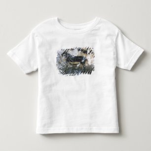 Camiseta Infantil Cabra ou Chamois, pintura de rocha na Sala Negra,